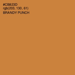 #CB823D - Brandy Punch Color Image